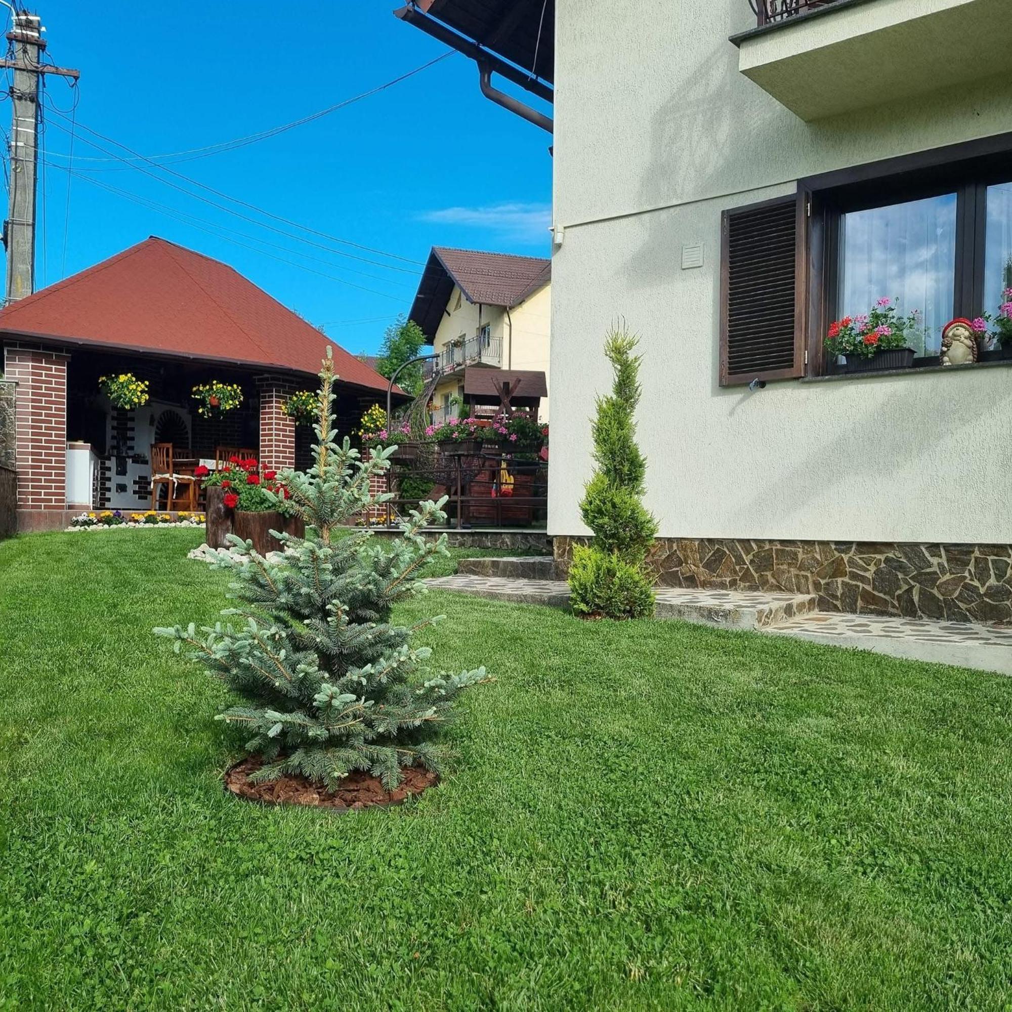 Pensiunea Select Curtea de Argeş Exterior foto